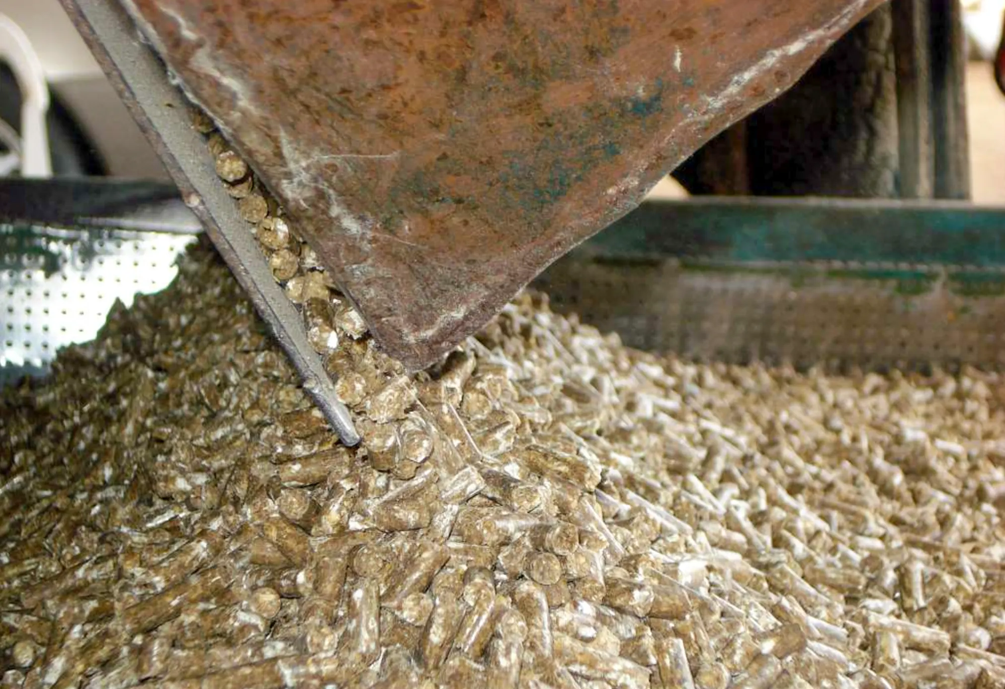 Bio Ostschweiz Green Protein